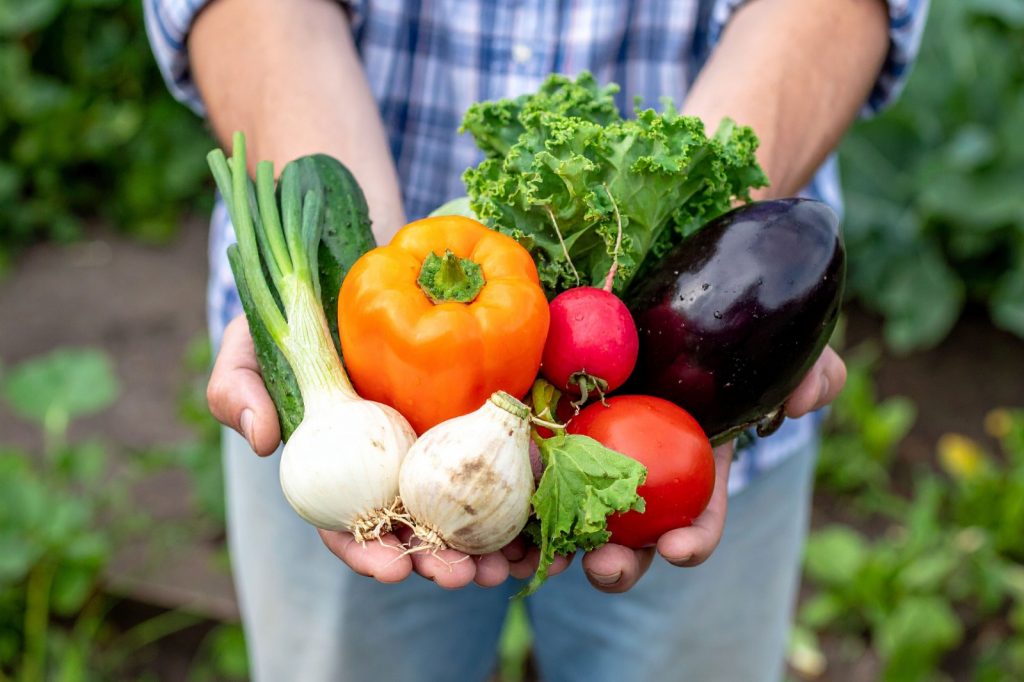 Governo de SP fortalece agricultura familiar e registra crescimento de mais de 150% em 2025 Governo de SP fortalece agricultura familiar e registra crescimento de mais de 150% em 2025 - Agência SP